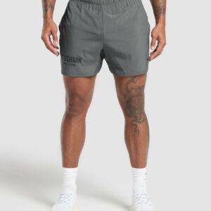 Running Dept. 5" Shorts Pitch Grey